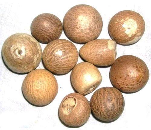 Round Areca Nut