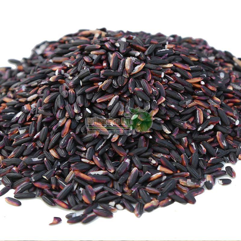 Black Rice