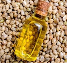 Hemp Seed Oil