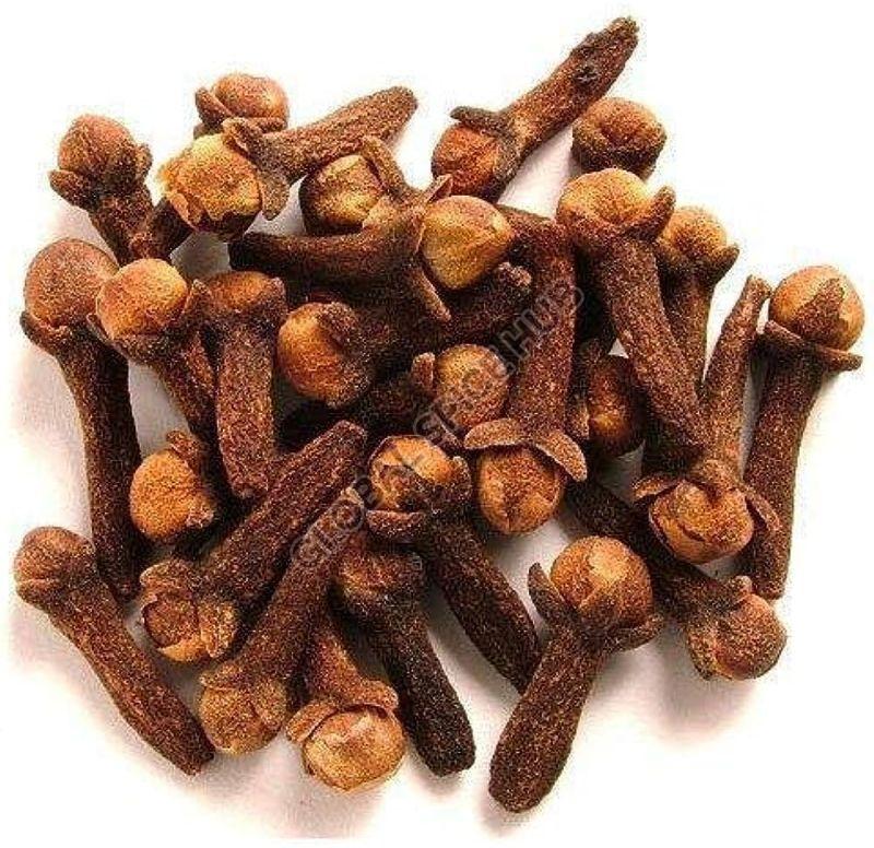 Cloves Seed