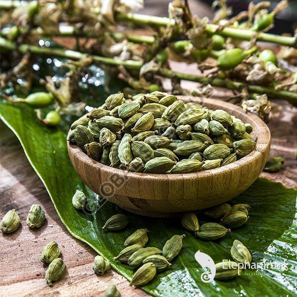 Green Cardamom Pods