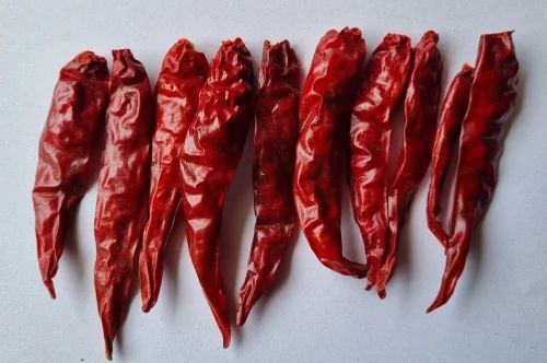Fatki Dry Red Chilli