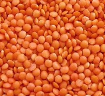 Organic Red Lentils