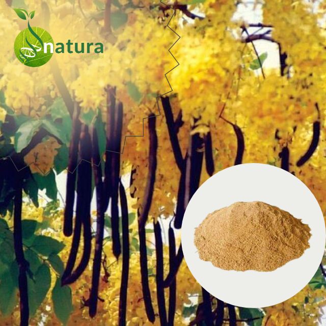 Natura Biotechnol Cassia Fistula Extract Powder