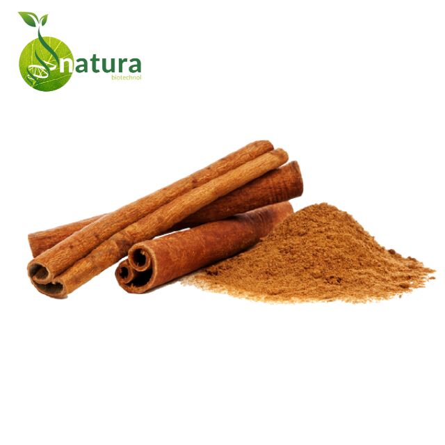 Natura Biotechnol Cinnamon Extract Powder