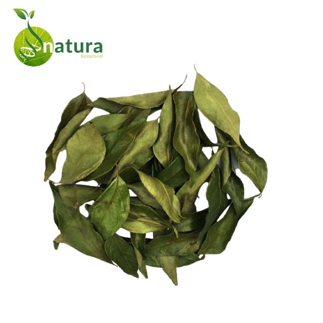 Natura Biotechnol Dried Curry Leaves
