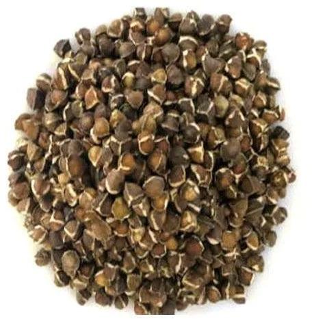 Organic Moringa Seed