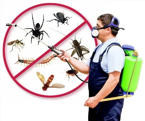 Industrial Insect Control Services