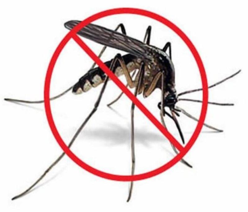 Industrial Mosquito Control Services