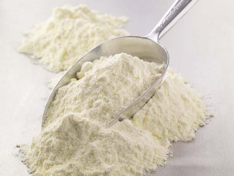 Edible Lactose&nbsp;Powder