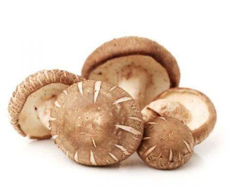 Brown Shiitake Mushroom
