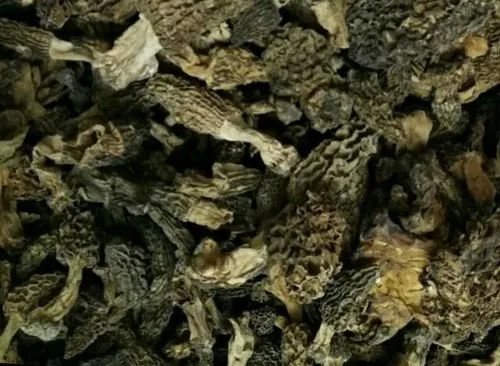 Dried Morel Mushroom