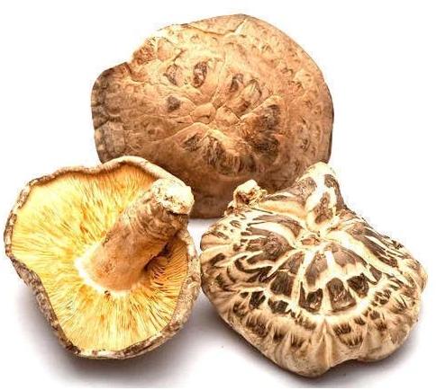 Dried Shiitake Mushroom