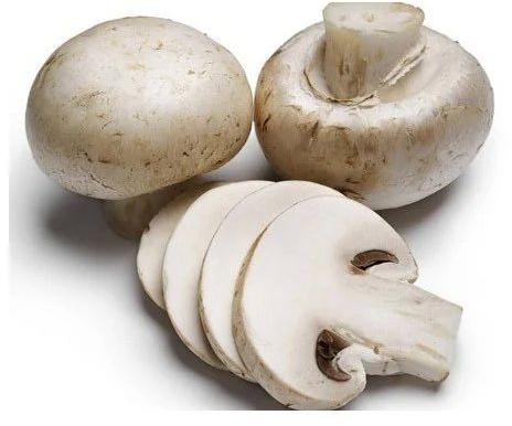 Fresh Button Mushroom