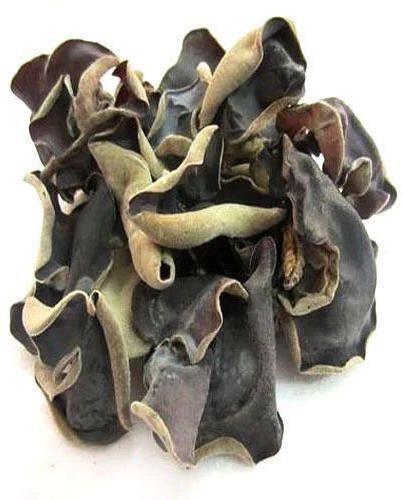 Organic Black Mushroom