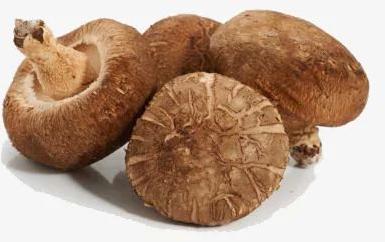 Organic Shiitake Mushroom