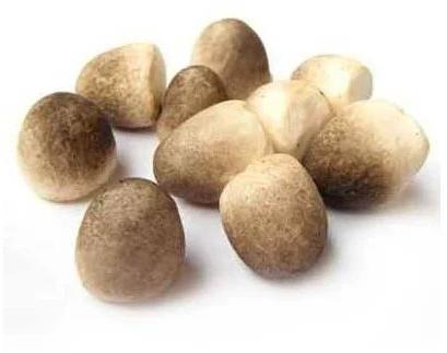 Raw Straw Mushroom