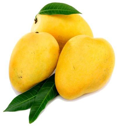 A Grade Fresh Yellow Mango