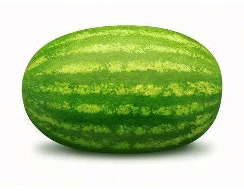 Fresh Green Watermelon