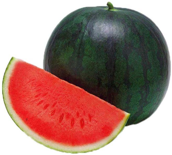 High Quality Watermelon