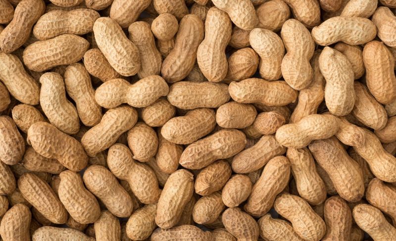 Whole Groundnuts
