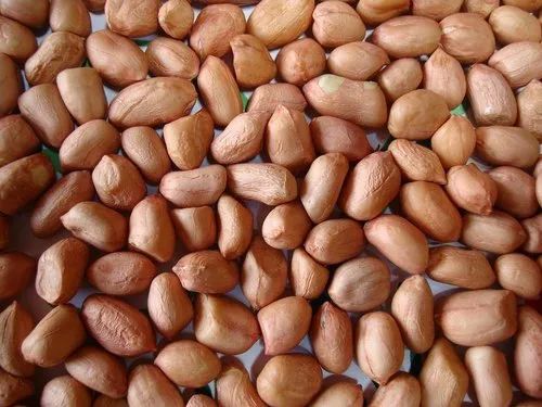 Organic Groundnut Kernels