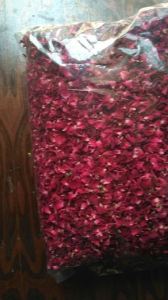 Dry Red Rose Petals 03