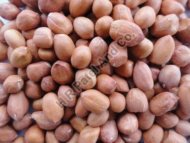 120/140 Bold Ground Nut Kernel