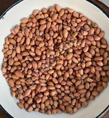 120/140 Java Groundnut Kernel