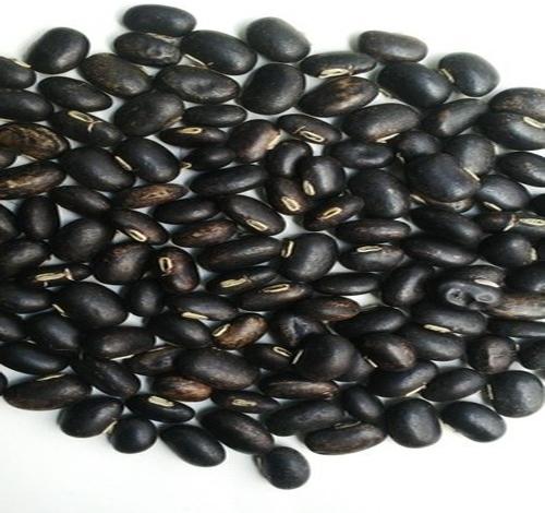 Black Mucuna Pruriens Seed