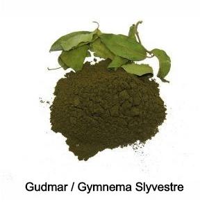 Gymnema Sylvestre Powder