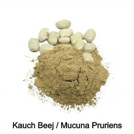 Mucuna Pruriens Powder