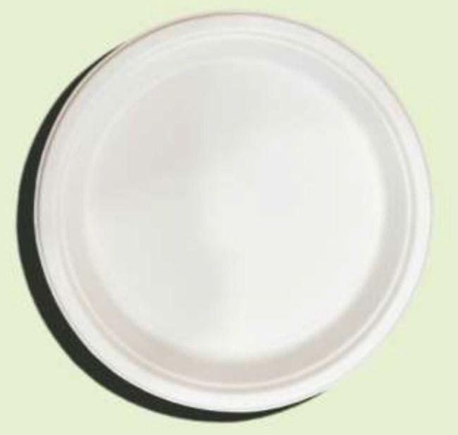 12 Inch Bagasse Round Plate