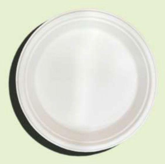7 Inch Bagasse Round Plate