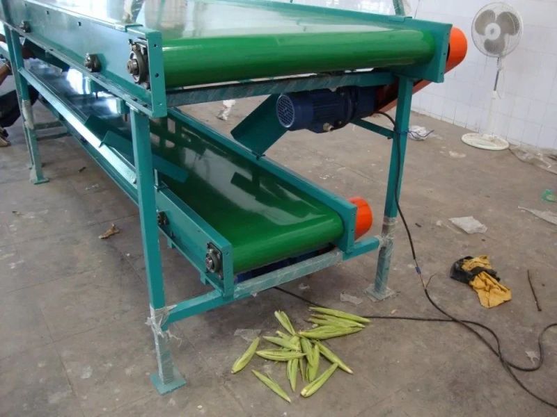 Sorting Conveyor Machine