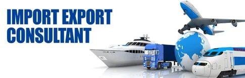 Export Import Consultant Service