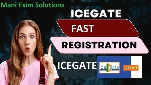 ICEGATE Registration Service