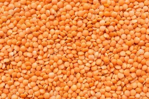 Skinless Masoor Dal