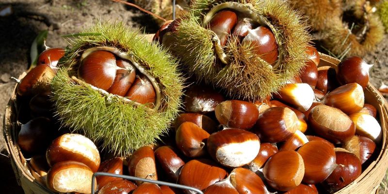 Chestnuts