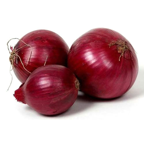 Fresh Red Onion