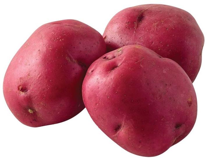 Fresh Red Potato