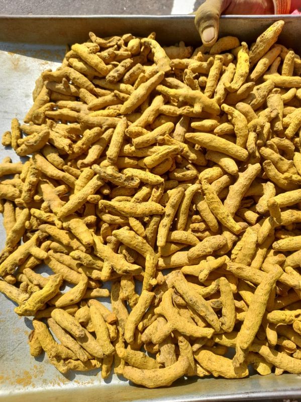 Turmeric Finger