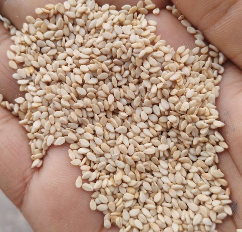 White Sesame Seeds