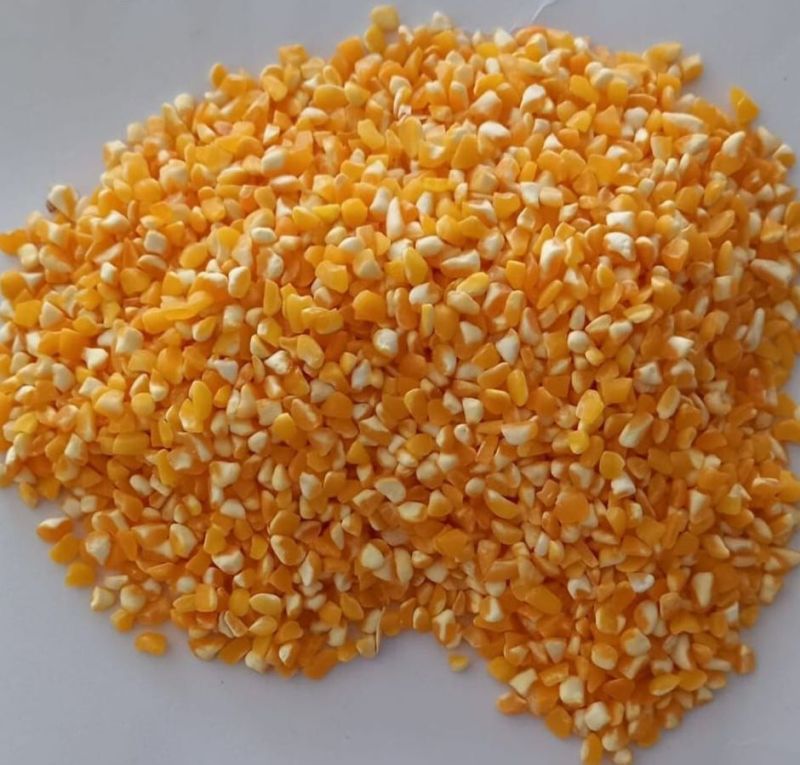 Yellow Maize Seeds