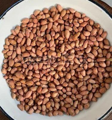 120/140 Java Groundnut Kernel