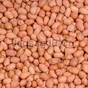 140/160 Java Groundnut Kernel