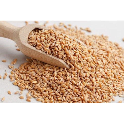 Natural Wheat Grain