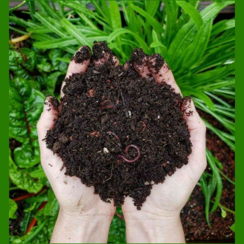 Organic Vermicompost