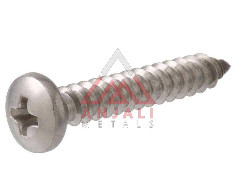 SS Pan Phillips Screws