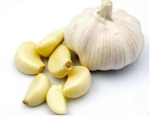Fresh Whole Garlic